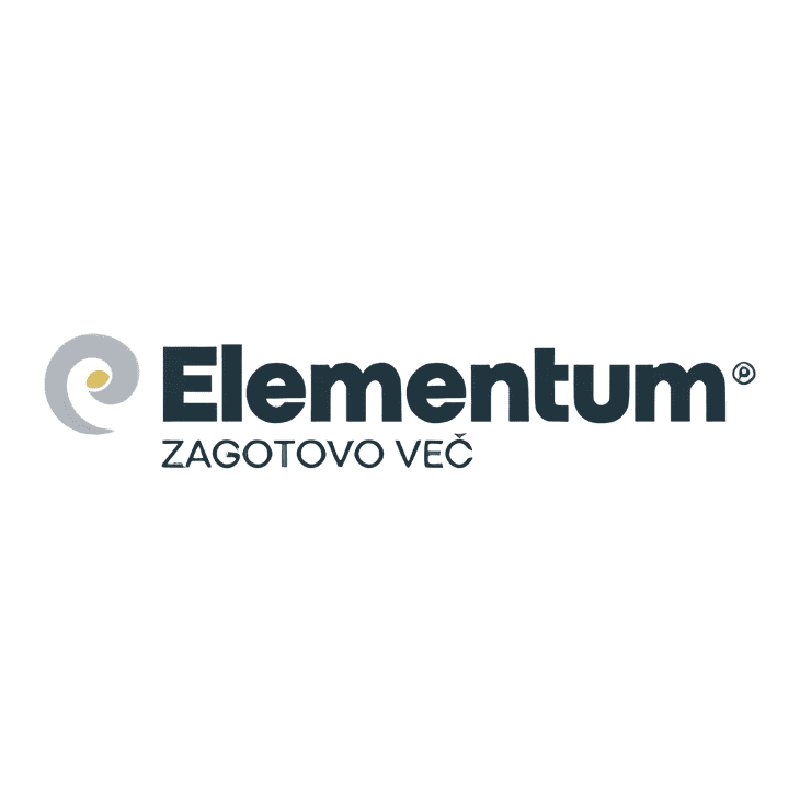 elementum-dfk-2025